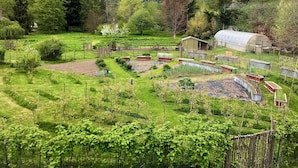 A rural farm with green fields, a greenhouse, and a wooden fence. - 3 Rivers Farm Guest Cottage. Charming Farm Stay cottage in Deming, Wa, (Deming)
