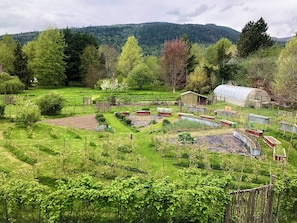 Parco della struttura