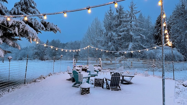 A snow-covered outdoor area with string lights, snow-covered trees, and outdoor furniture. - 3 Rivers Farm Guest Cottage. Charming Farm Stay cottage in Deming, Wa, (Deming)