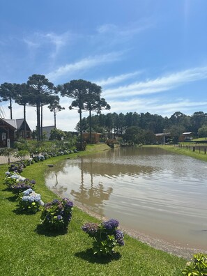 Property grounds - Morada Das Grimpas (Palmeira)