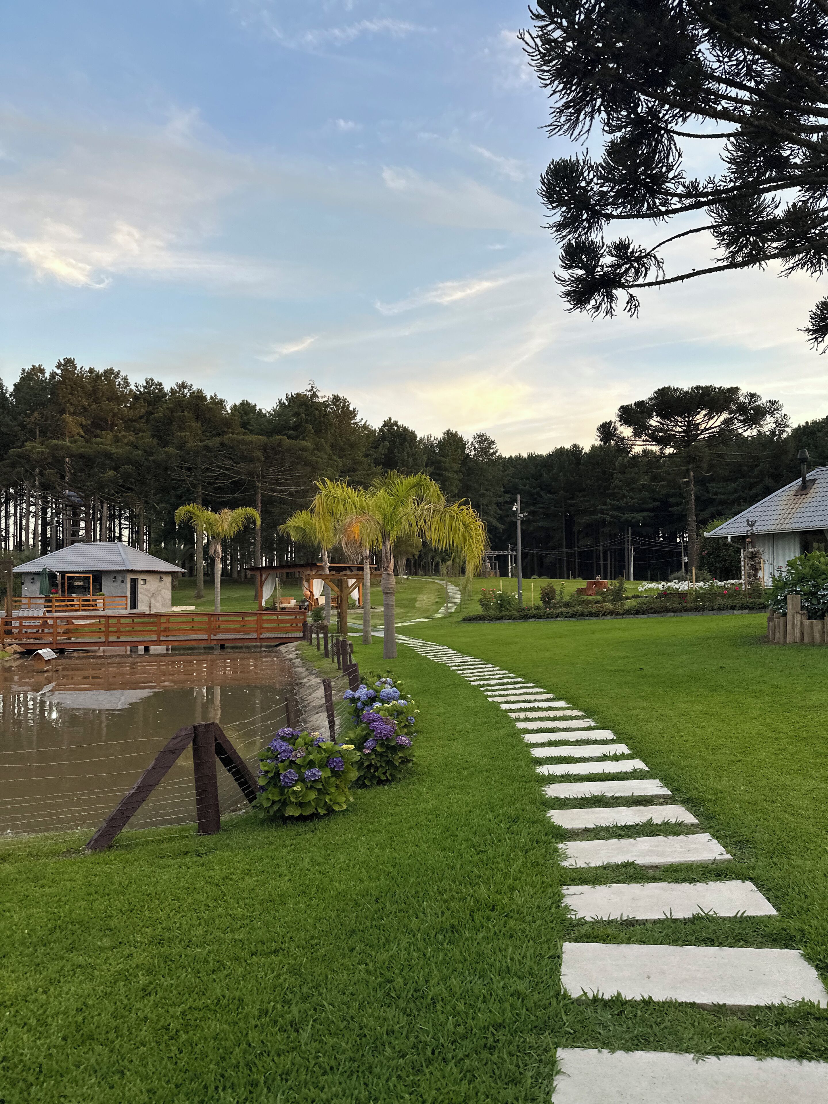 المنطقة المحيطة بالمنشأة