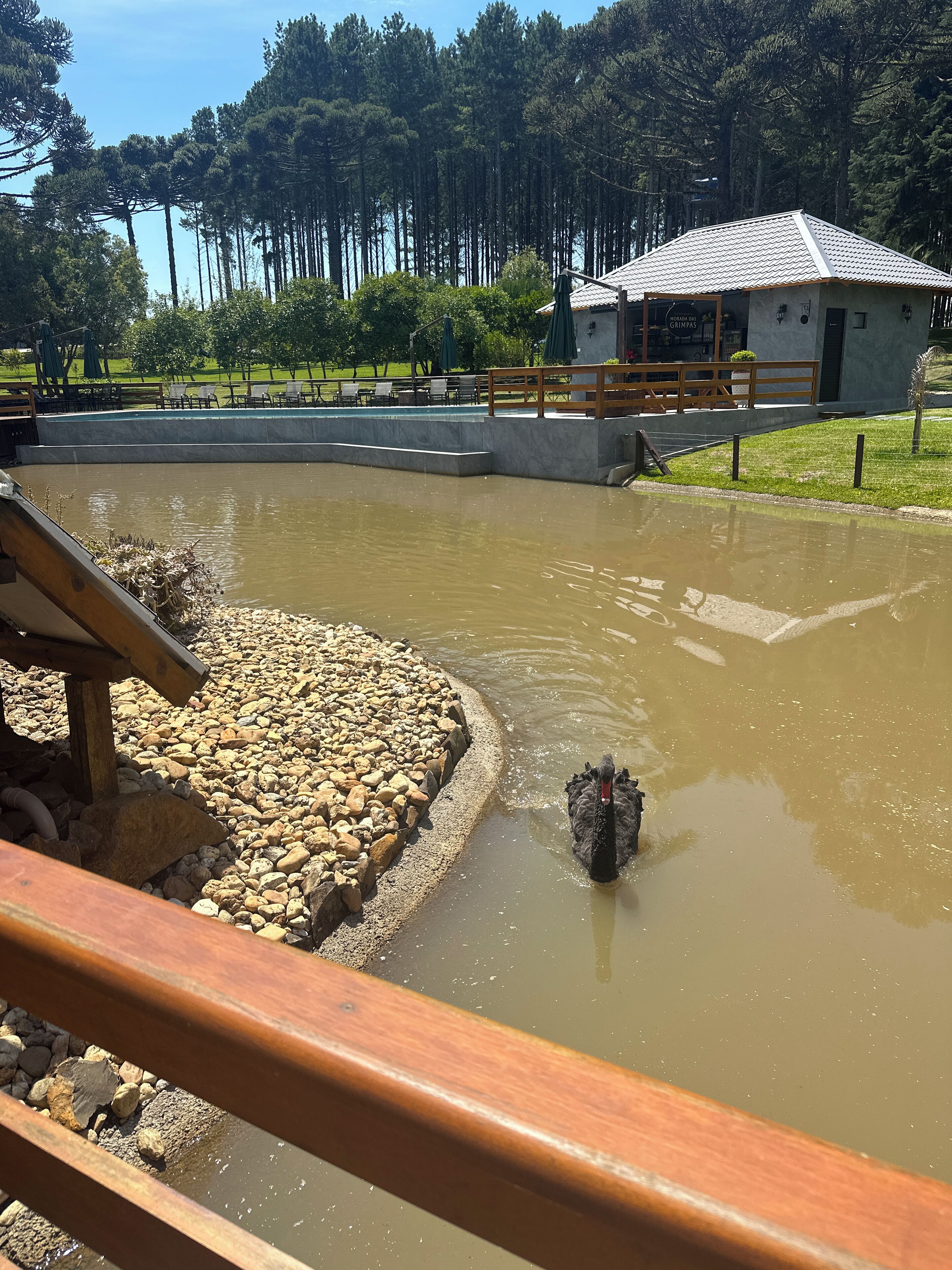 المنطقة المحيطة بالمنشأة