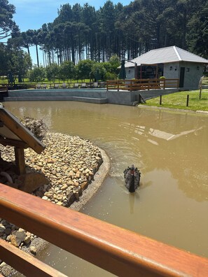 Property grounds - Morada Das Grimpas (Palmeira)