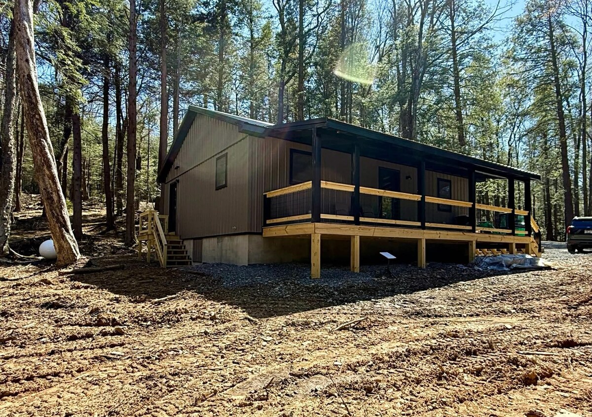 Imagen de perfil del propietario o de la propietaria