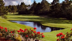 Un campo de golf con un estanque, rodeado de árboles y flores rojas.