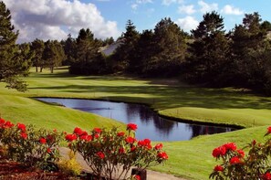 Golf - Siuslaw River Retreat near Casino & Beach *Pets $ (Florence)