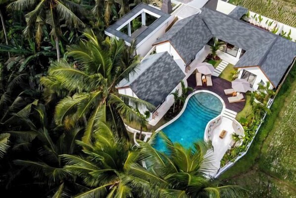 Outdoor pool - Villa Crystal Lagoon by BaliSuperHost (Bali)