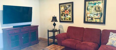 テレビ、暖炉、DVD プレーヤー、書庫