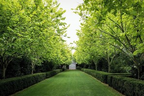 Property grounds - One bedroom cottage in Dural (Arcadia)