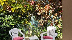 Two white plastic chairs with red cushions in a garden with a cactus and various plants. - Tropical King Studio Apartment (Nassau)