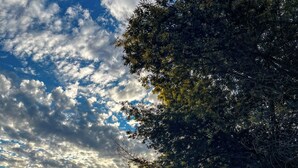 A lakeside scene with trees, a clear sky, and a sunset. - NaboCamp (Linares)