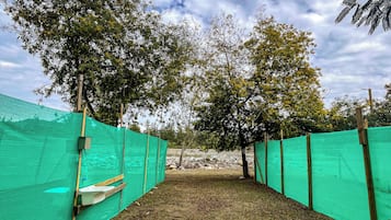 Habitación básica, patio | Wifi gratis