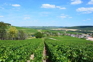 Miscellaneous - La Ferm'Hier - BALNOT SUR LAIGNES (BALNOT SUR LAIGNES)