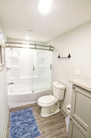 Hair dryer, towels, soap, toilet paper