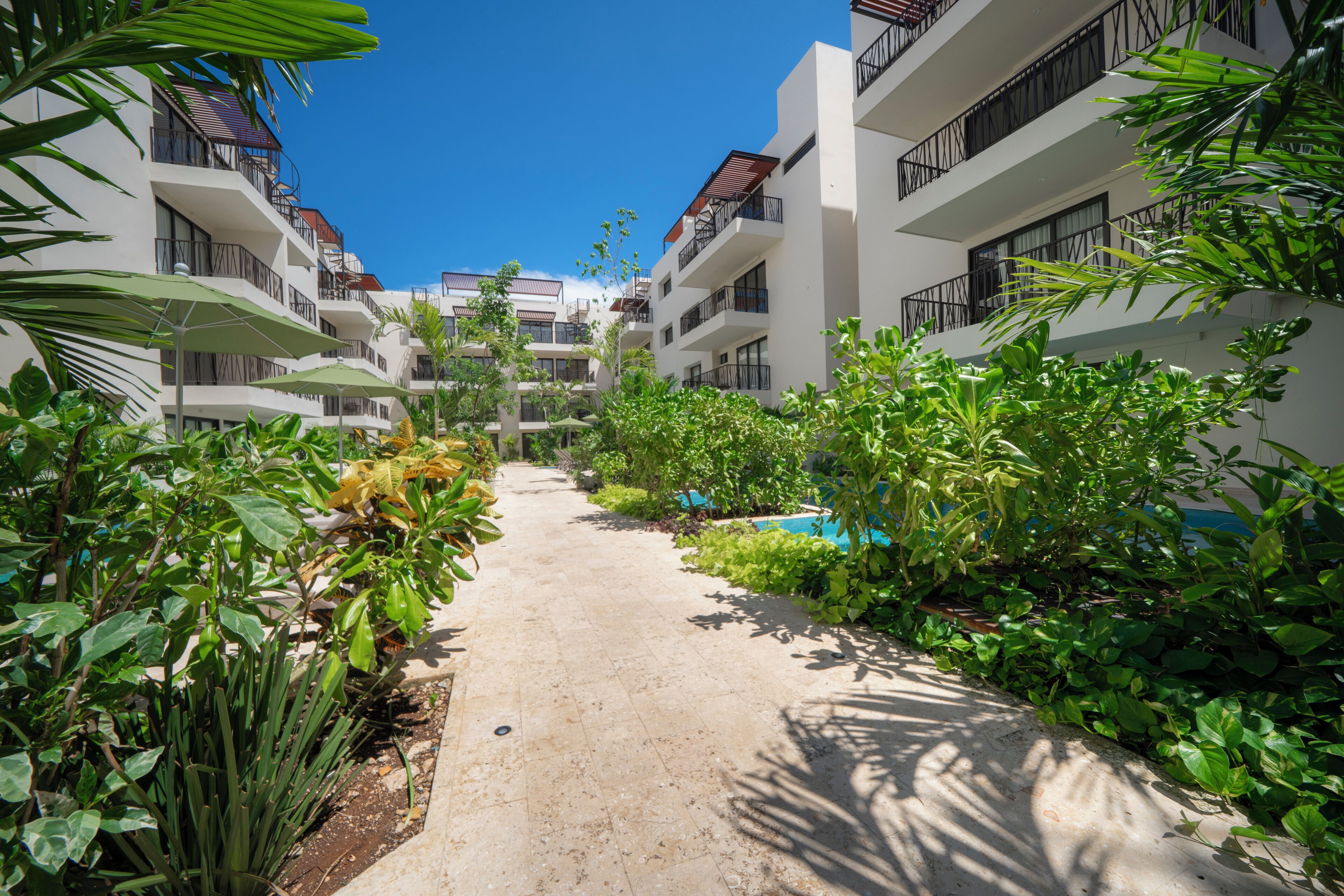 Utsikt mot trädgården