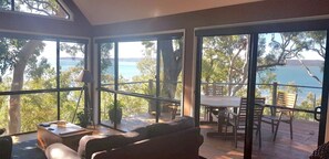 Télévision, cheminée, lecteur de DVD, livres