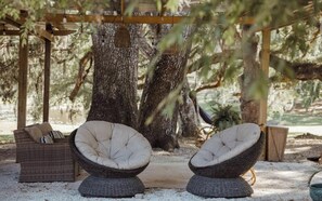 Property grounds - Quaint 1-bedroom farmhouse with AC in charming Newberry 1 of 2 Downstairs Unit (Newberry)