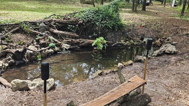 Un banc en bois rustique, placé près d’un petit étang dans une zone boisée.