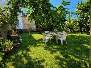 Ein Garten mit Tisch und Stühlen, einer Pergola und verschiedenen Kübelpflanzen.