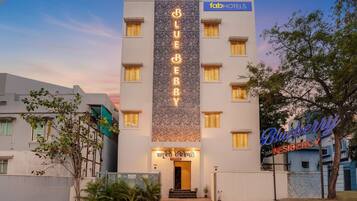 A hotel named 'Blueberry Residency' with a modern facade, multiple windows, and a prominent sign.
