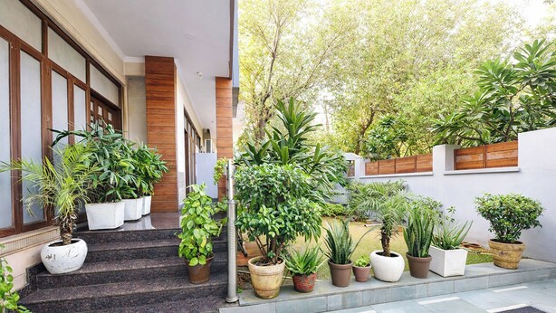 A hotel entrance with a staircase leading to a covered area, surrounded by potted plants and a view of trees. - Via Esscon House (Gurugram)