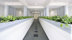 Un pasillo con paredes blancas, plantas verdes y piso de baldosas.