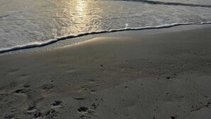 En strand där solen går ner över horisonten och vågorna försiktigt skvalpar mot stranden.