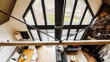 TV, fireplace, books