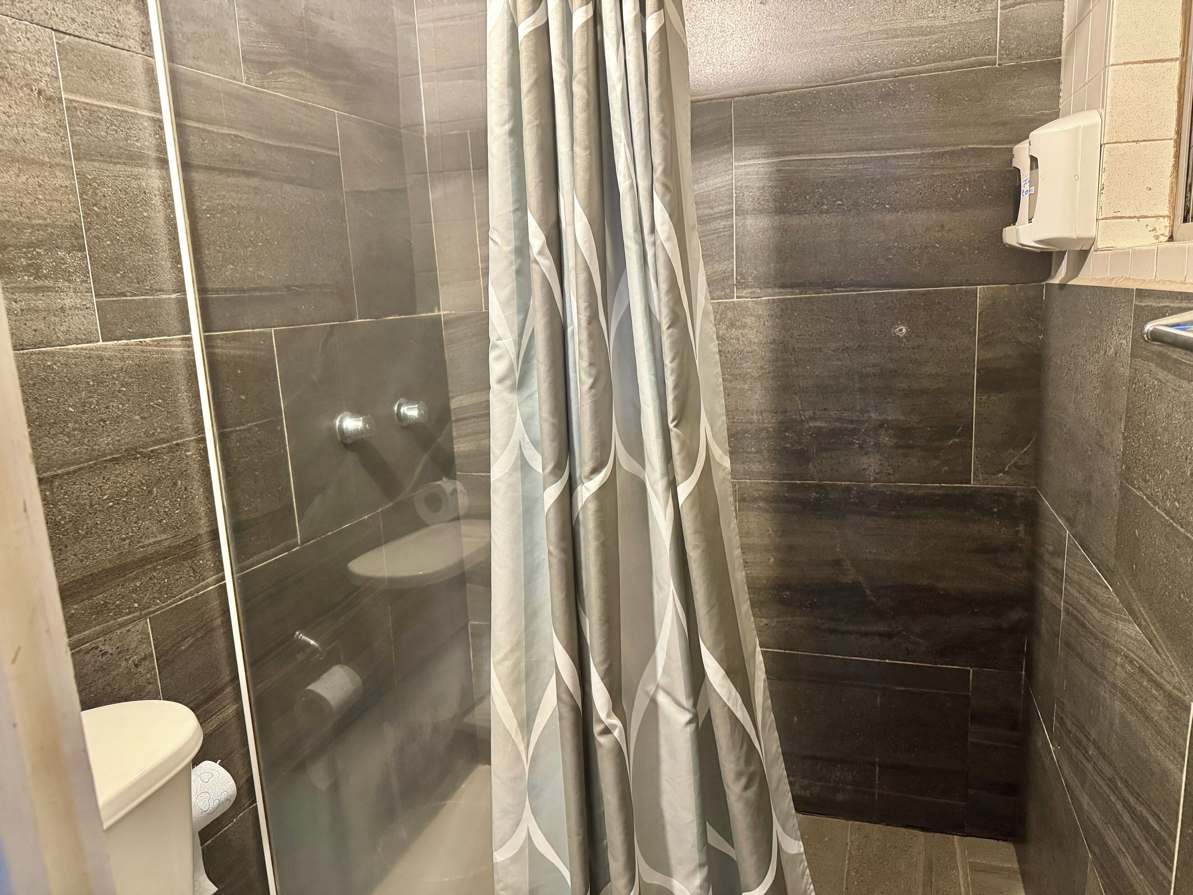 Hair dryer, towels, soap, toilet paper