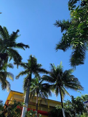 المنطقة المحيطة بالمنشأة