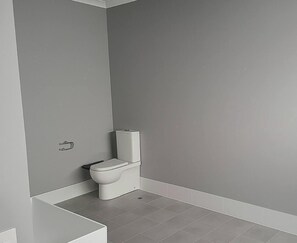 تجهيزات دش، مجففات شعر، مناشف