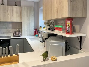 Lavavajillas y periquera 