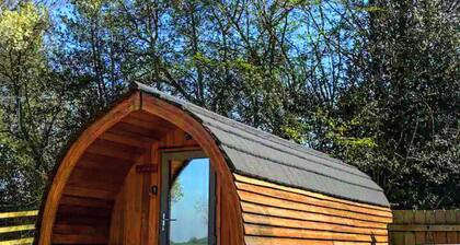 The Orchard - UKC7804