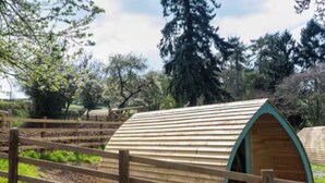A wooden structure with a curved roof, surrounded by a wooden fence and mulch, set in a landscaped area with trees. - The Orchard - UKC7804 (Shrewsbury)