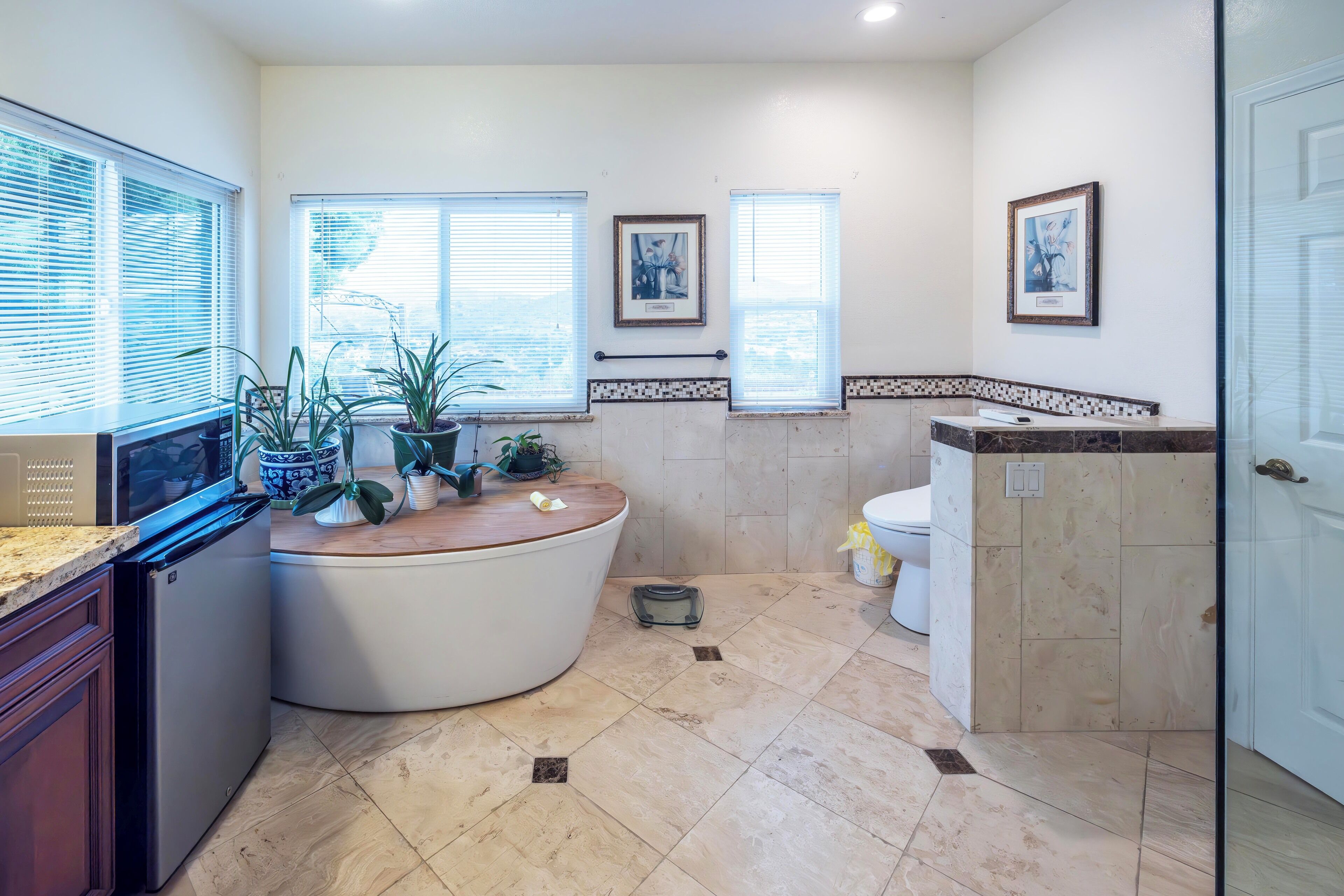 Shower, hair dryer, bidet, towels