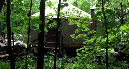 Off-the-Grid Yurt Rental in the Secluded Countryside of Thetford Center, Vermont