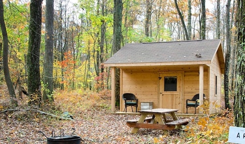 Cozy Cabin Rental in the Woods near Swallow Falls State Park, Maryland