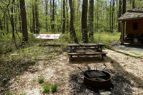 Cozy Cabin Rental in the Woods near Swallow Falls State Park, Maryland