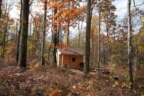Exterior - Cozy Cabin Rental in the Woods near Swallow Falls State Park, Maryland (Oakland)