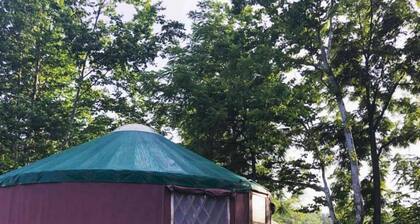 Superb Yurt Rental near George Washington National Forest in Luray, Virginia