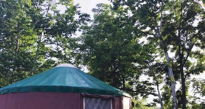 Superb Yurt Rental near George Washington National Forest in Luray, Virginia