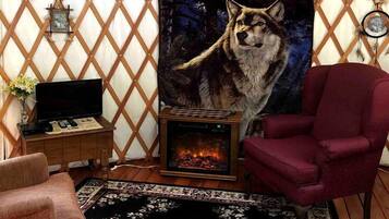 Télévision, cheminée, lecteur de DVD