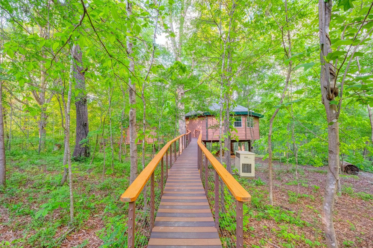 Un puente de madera que conduce a una casa en los árboles en un bosque.