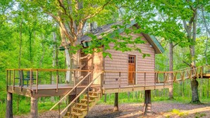 A treehouse with a wooden staircase, a small porch, and a window. - Nashville Area Luxury Tree House Accommodation for a Tennessee Getaway (Greenbrier)