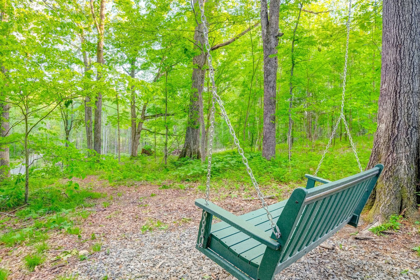 A swing set in a forested area with trees and greenery.