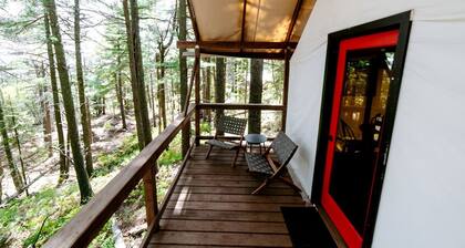Glamping Safari Tent for Romantic Escapes to the Minnesota Forest
