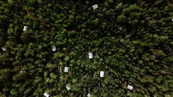 An aerial view of a forested area with several white buildings scattered throughout.