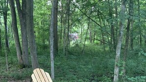 A forested area with a wooden Adirondack chair and a black fire pit.
