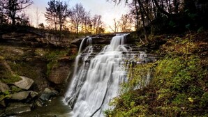 A waterfall cascading over rocks in a forested area.