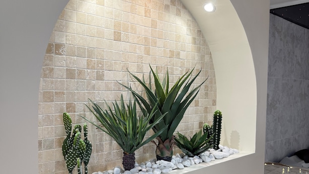 Een moderne badkamer met een betegelde wand, een ingebouwde plantenbak met cactussen, en een gebogen boog.